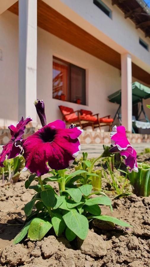 Casa Caraua Villa Greci Luaran gambar